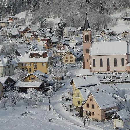 Gite Du Silberwald Charmant Gite Avec Spa - Jacuzzi , Acces Privatif Stosswihr Exterior photo