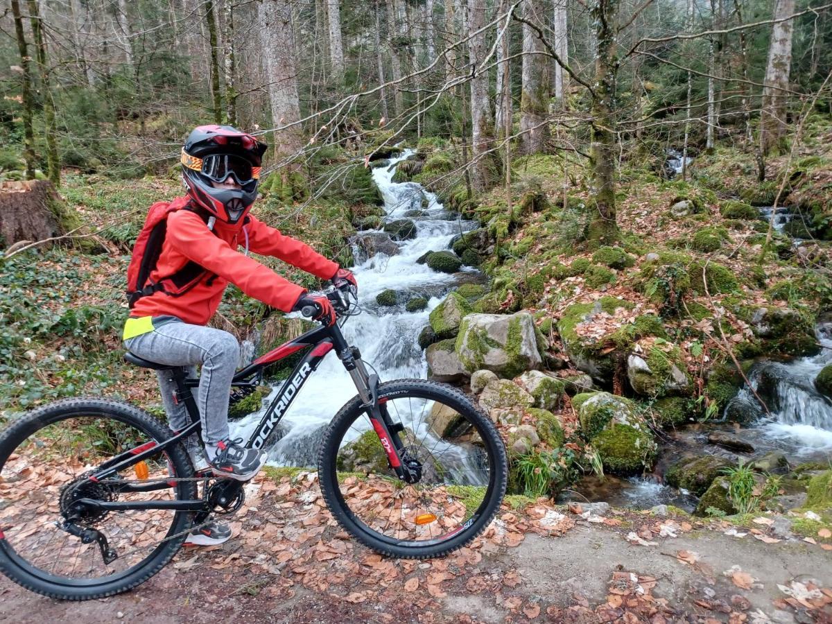 Appartement Du Silberwald Avec - Jacuzzi , Accès Privatif Stosswihr